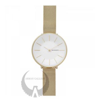 Skagen 1104 shop